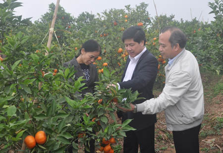 Thứ trưởng Bộ Nông nghiệp và PTNT thăm mô hình chuyển đổi cây trồng tại Hưng Yên